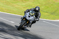 Oulton-Park-20th-March-2020;PJ-Motorsport-Photography-2020;anglesey;brands-hatch;cadwell-park;croft;donington-park;enduro-digital-images;event-digital-images;eventdigitalimages;mallory;no-limits;oulton-park;peter-wileman-photography;racing-digital-images;silverstone;snetterton;trackday-digital-images;trackday-photos;vmcc-banbury-run;welsh-2-day-enduro
